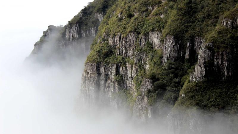 91吃瓜档案页的年份筛选界面